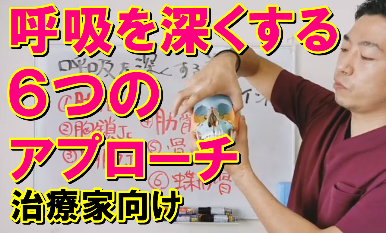 呼吸を深くするテクニックについて ５つの診るべき部位 姿勢 動作分析研究所